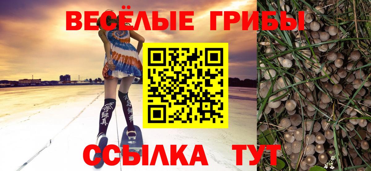 Псилоцибиновые грибы мицелий Североуральск