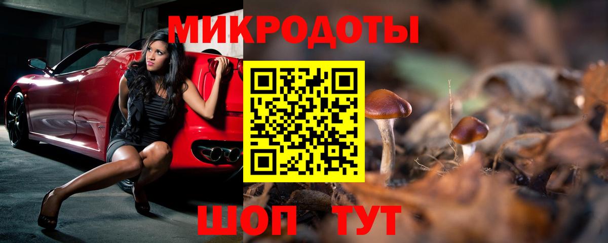 Галлюциногенные грибы Psilocybe  Вход с VPN  Североуральск 
